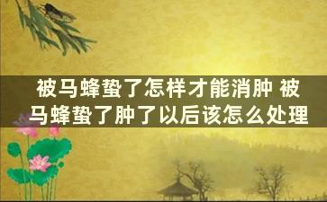 被马蜂蛰了怎样才能消肿 被马蜂蛰了肿了以后该怎么处理